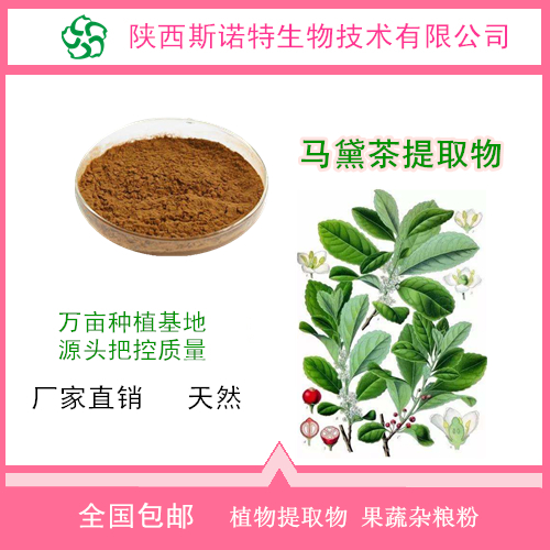 马黛茶速溶粉与提取物 从原料到固体饮料代加工的全产业链解析