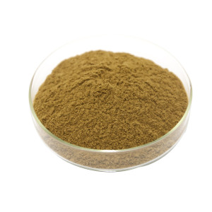 香菇多糖与香菇提取物 从昊辰工厂现货看植物提取物的品质与应用