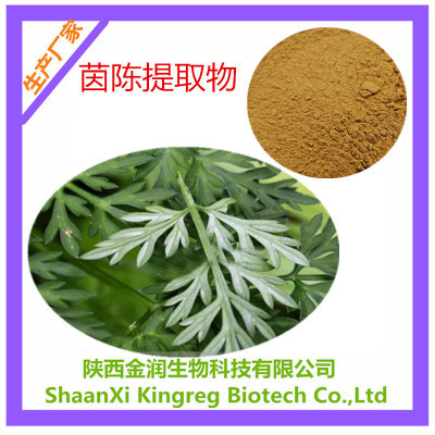 茵陈提取物 厂家直销，10:1比例现货，传承千年护肝智慧