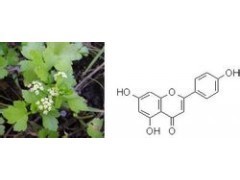 芹菜素与芹黄素 提取物深加工类的供应现状与行业应用