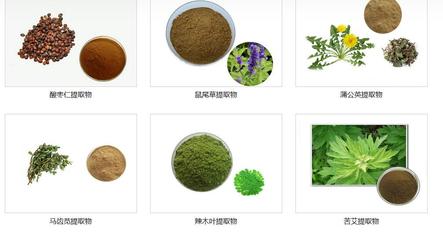 灵芝水提物植物提取物原料粉末 自然馈赠的健康之选